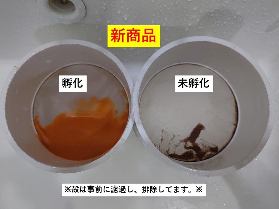 【グッピー太郎】中国産ブラインシュリンプエッグス　425g×2袋　孵化率85％