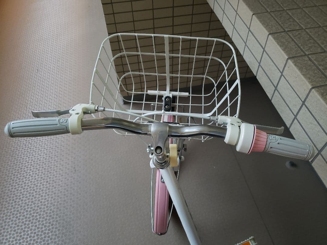 BRIDGESTONE Wild Berry 22\"子供用 【室内保管・直渡し】