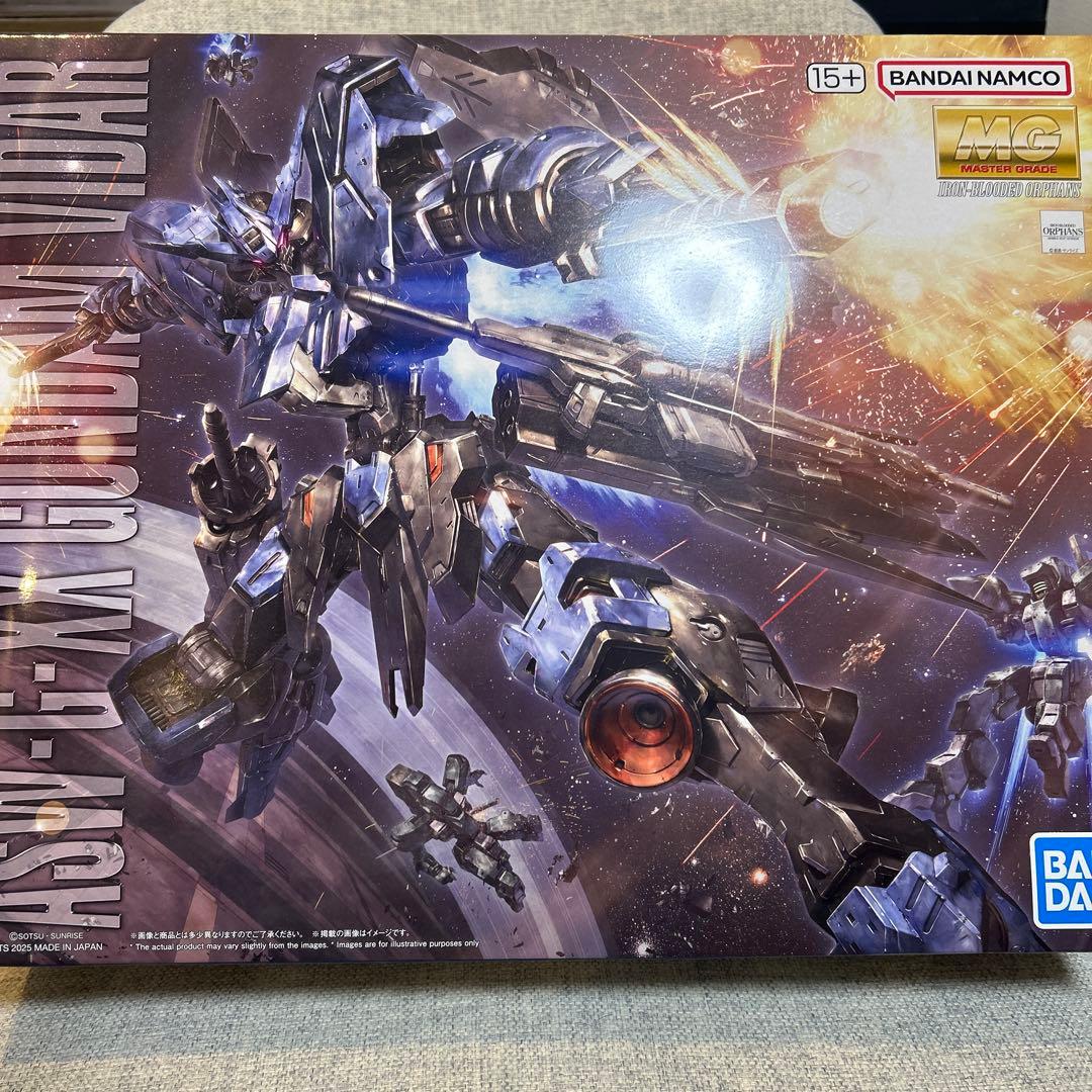 ガンプラまとめ売りMGヴィダール　HG ズゴック(SEED) 2体セット