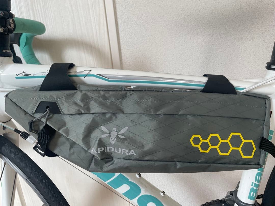 APIDURA フレームバック