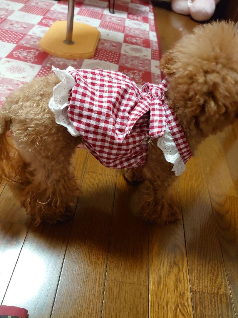 犬服 ハンドメイド ワンピース ギンガムレッド