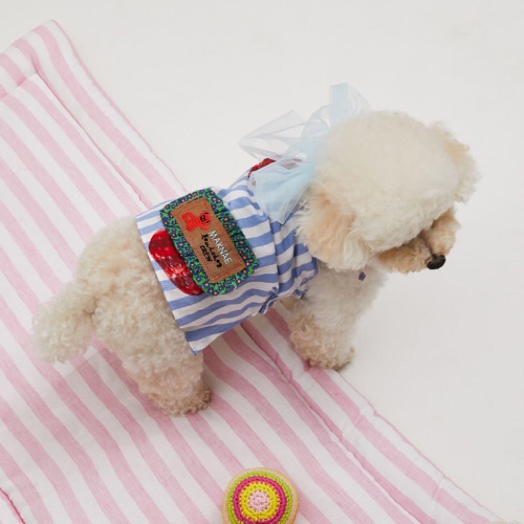 【新品未使用】ルイスドッグStrawberry Dress/Sサイズ