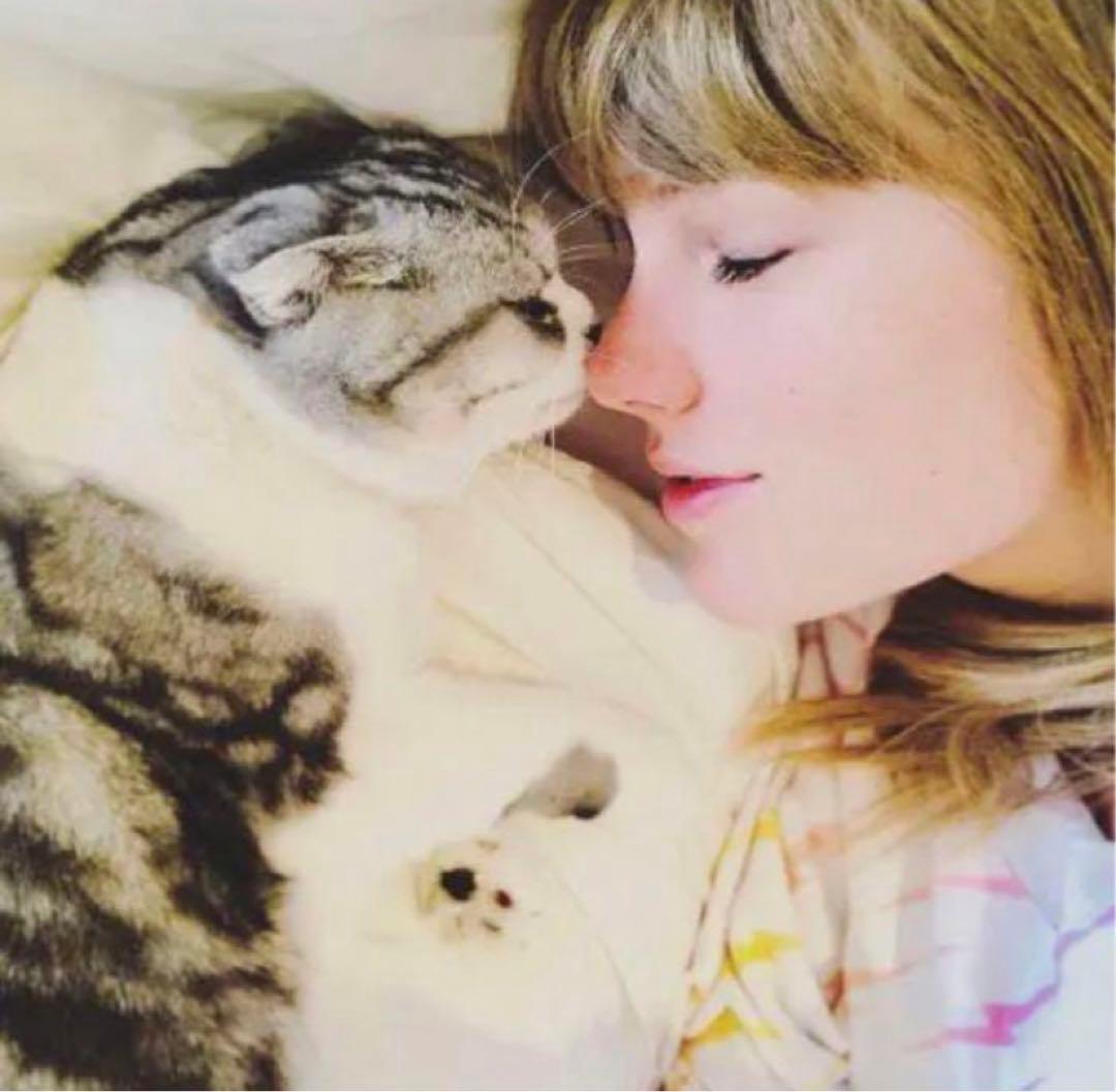 テイラースウィフト Taylor Swift 公式グッズ シーツ カバー新品