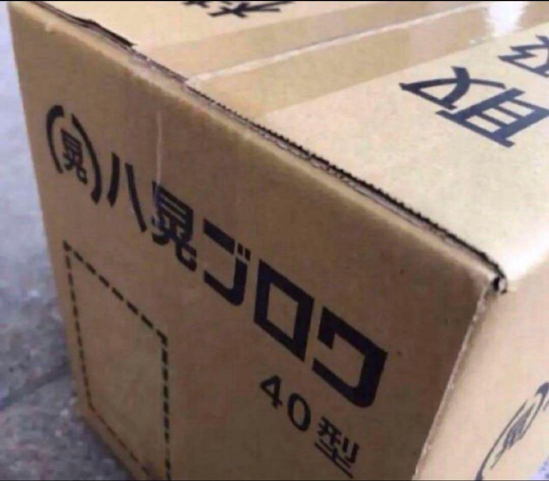 新品 未使用 未開封 八晃ブロワー 40型 単独浄化槽 水槽 エアーポンプ
