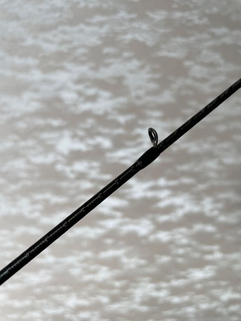 21ポイズングロリアス　2610ul/m 送料込み