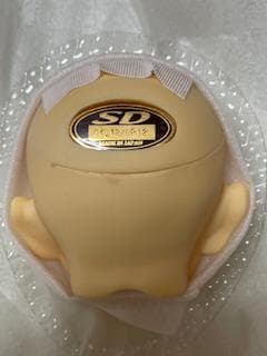 VOLKS　南条勲　SD13　ヘッド＋ボディ