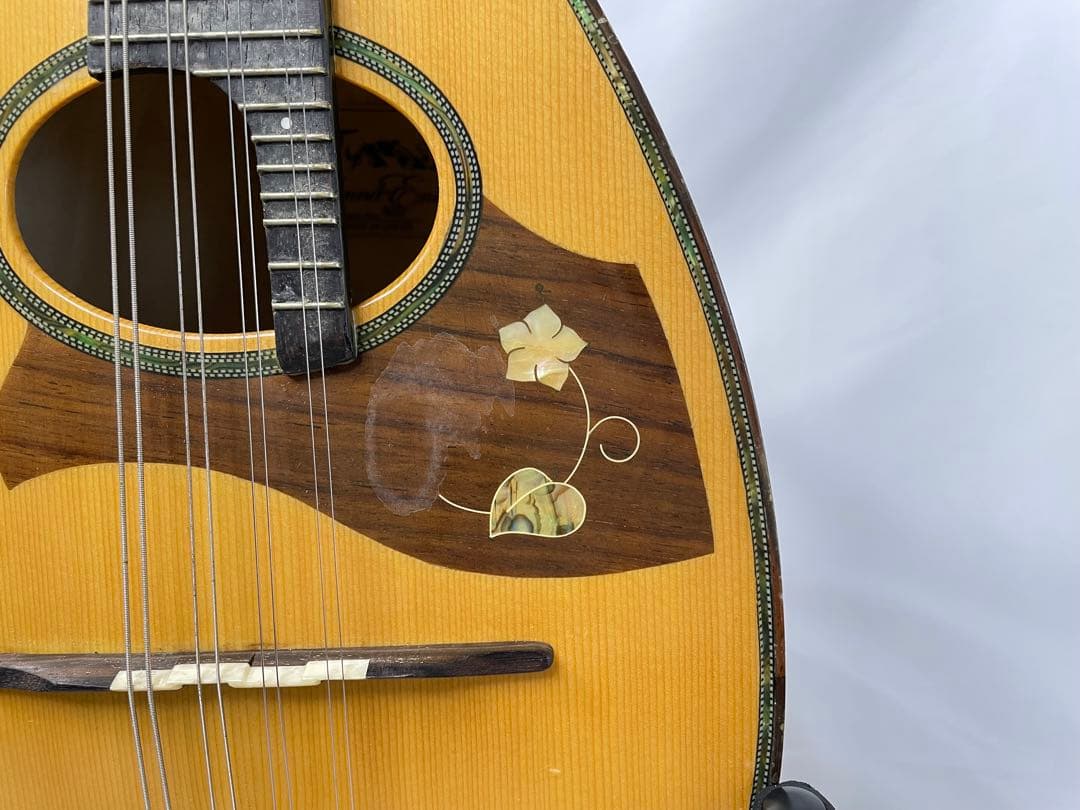 恵那/エナマンドリン M800 ラウンドクラシック