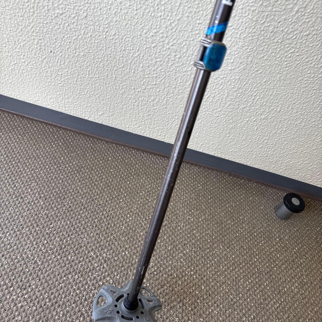  ストック　ウィペット