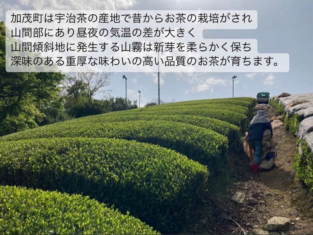 【お茶×◯◯】体に優しいノンカフェイン 国産あずき玄米茶(4g×20個)
