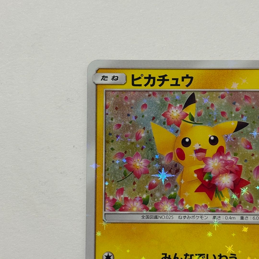 ピカチュウ　プロモ　みんなでいわう　ポケカ