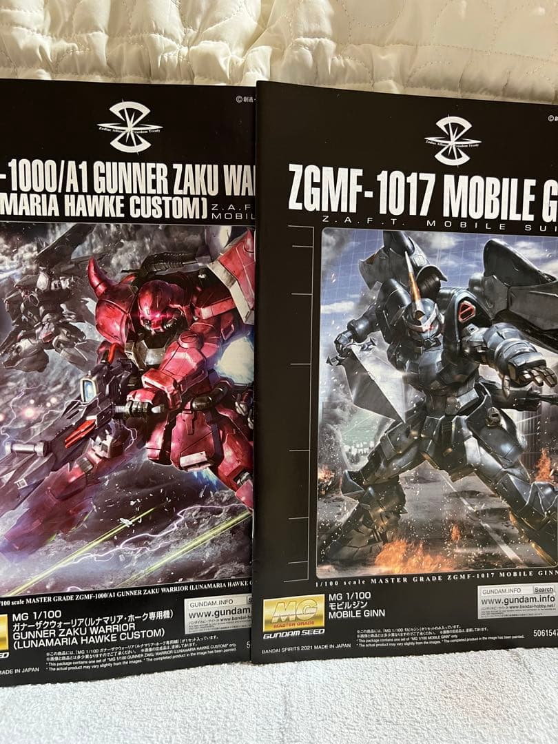 MG 1/100 ガンダムSEEDシリーズ ルナマリア専用ザク モビルジン