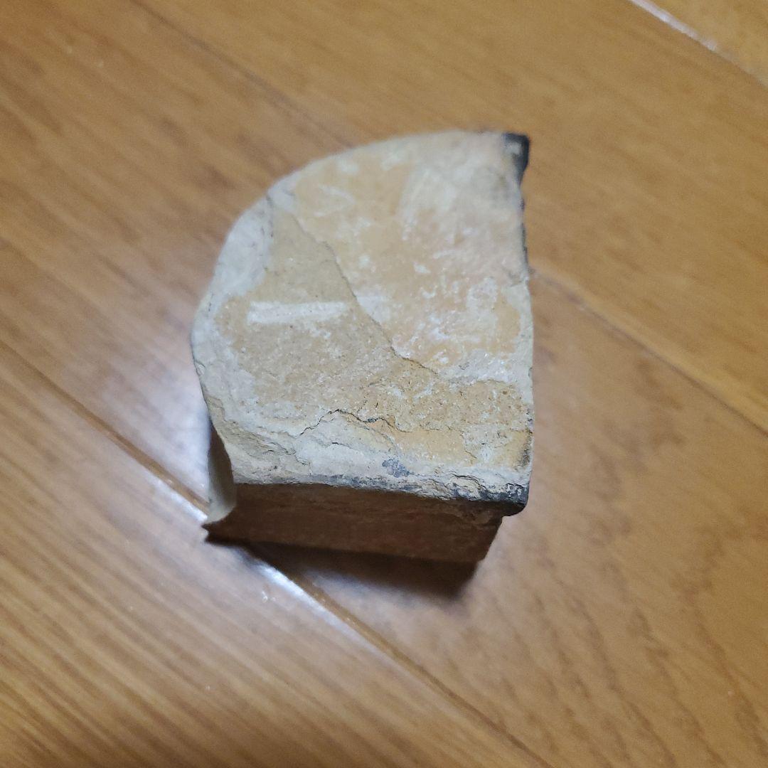 化石