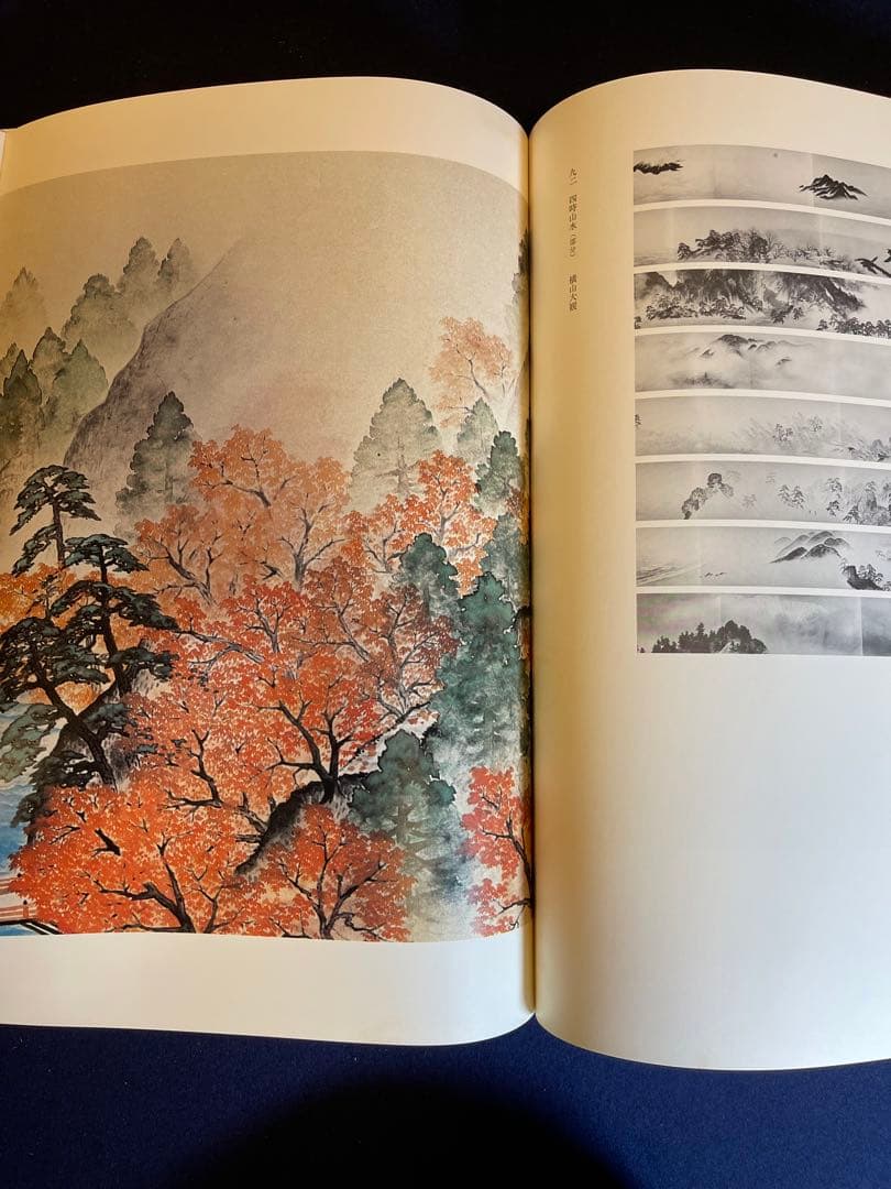 【墨研】ok0330 ◆豪華本2点まとめて 風景画・花鳥画◆美術画 日本画