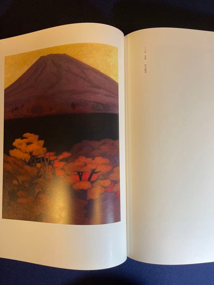 【墨研】ok0330 ◆豪華本2点まとめて 風景画・花鳥画◆美術画 日本画