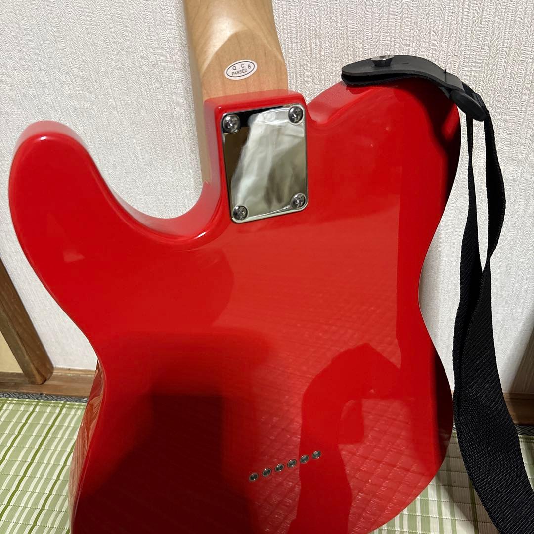 SELDER セルダー　テレキャス　エレキギター　ギター　楽器　ソフトケース