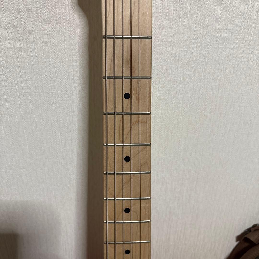 SELDER セルダー　テレキャス　エレキギター　ギター　楽器　ソフトケース