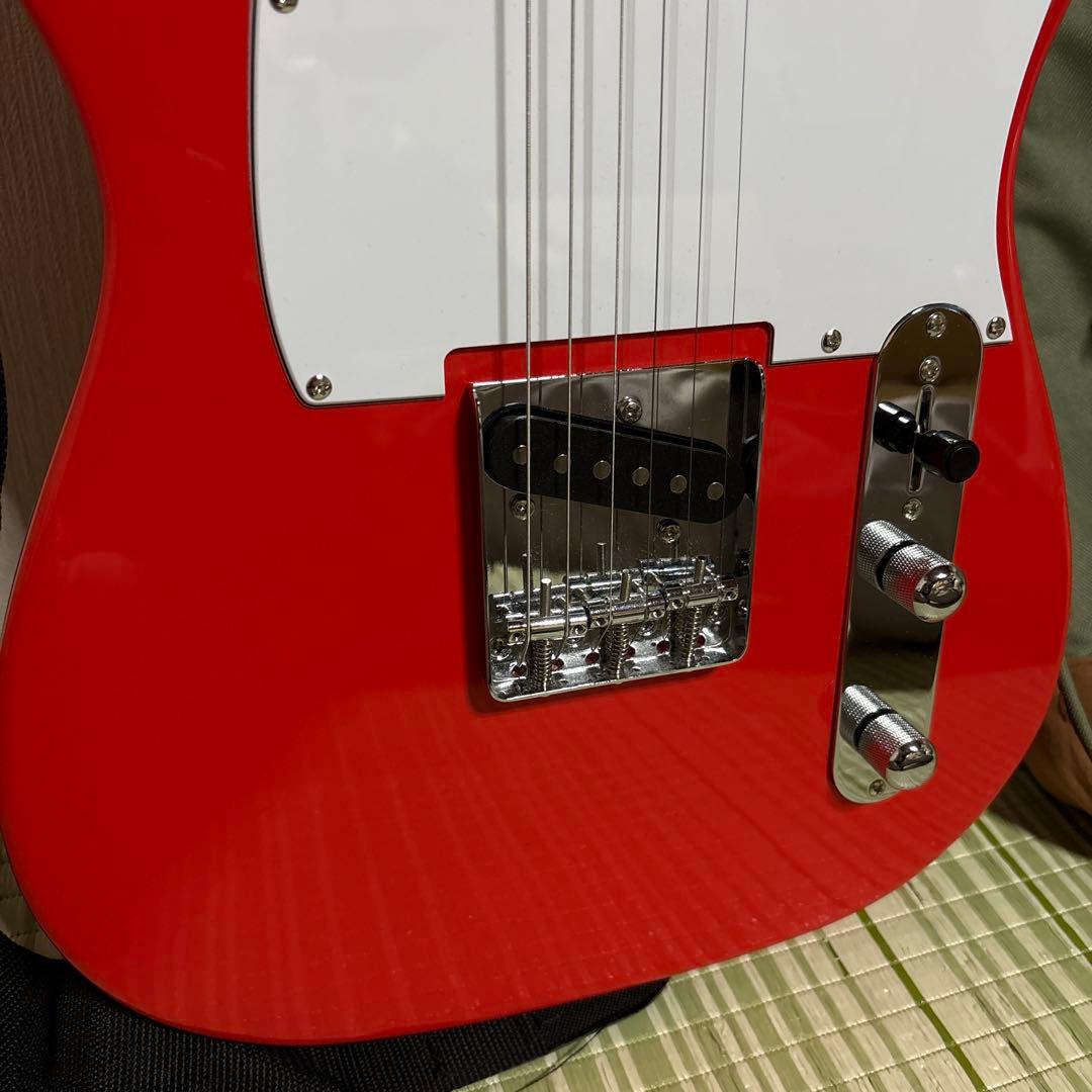 SELDER セルダー　テレキャス　エレキギター　ギター　楽器　ソフトケース