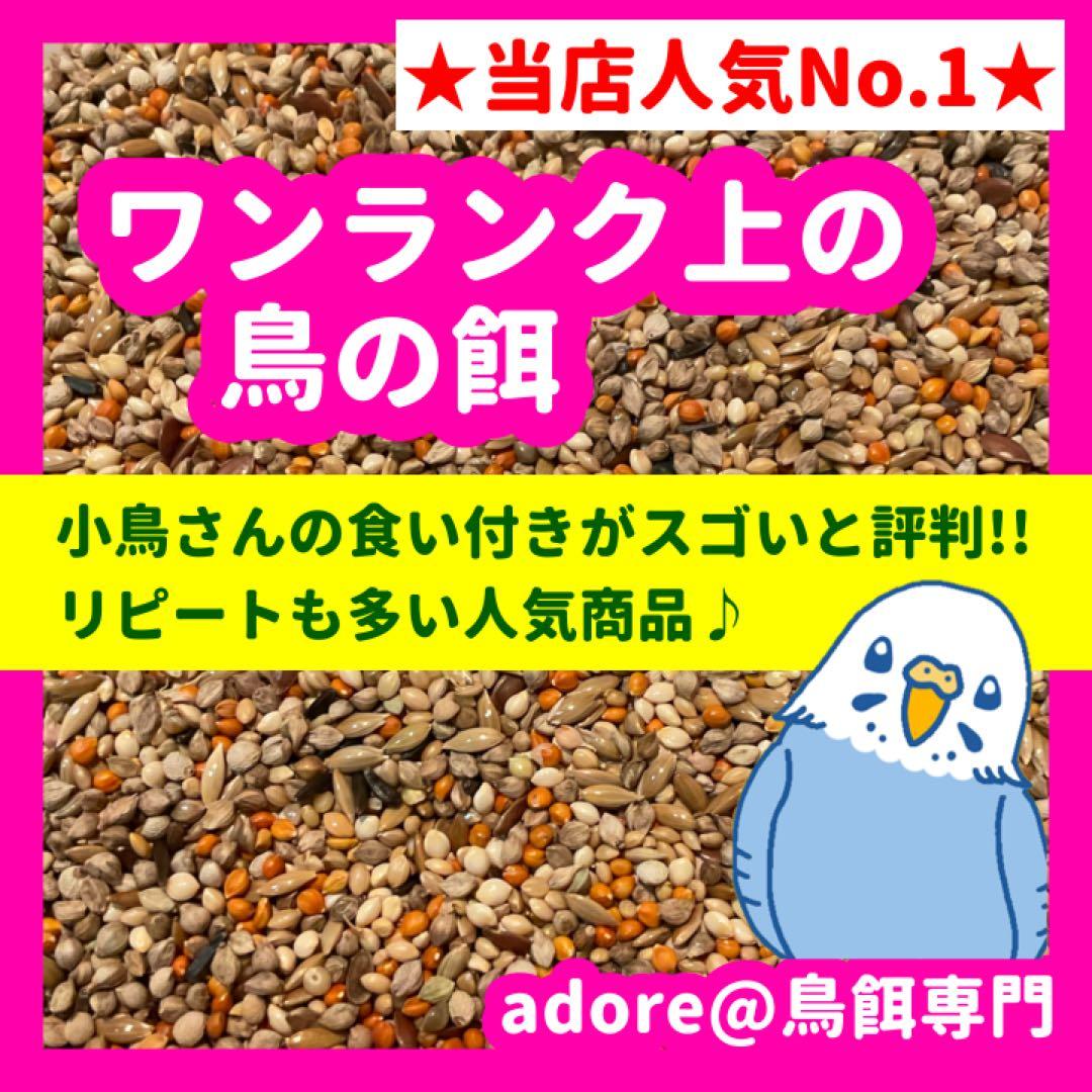【友】鳥の餌セット