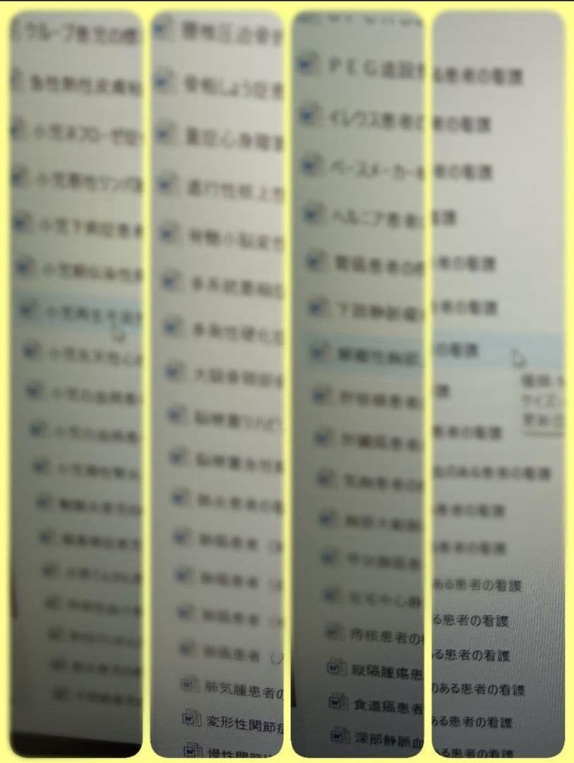 看護実習セット★　看護過程　アセスメント　看護目標　　手順書　看護学生　国家試験