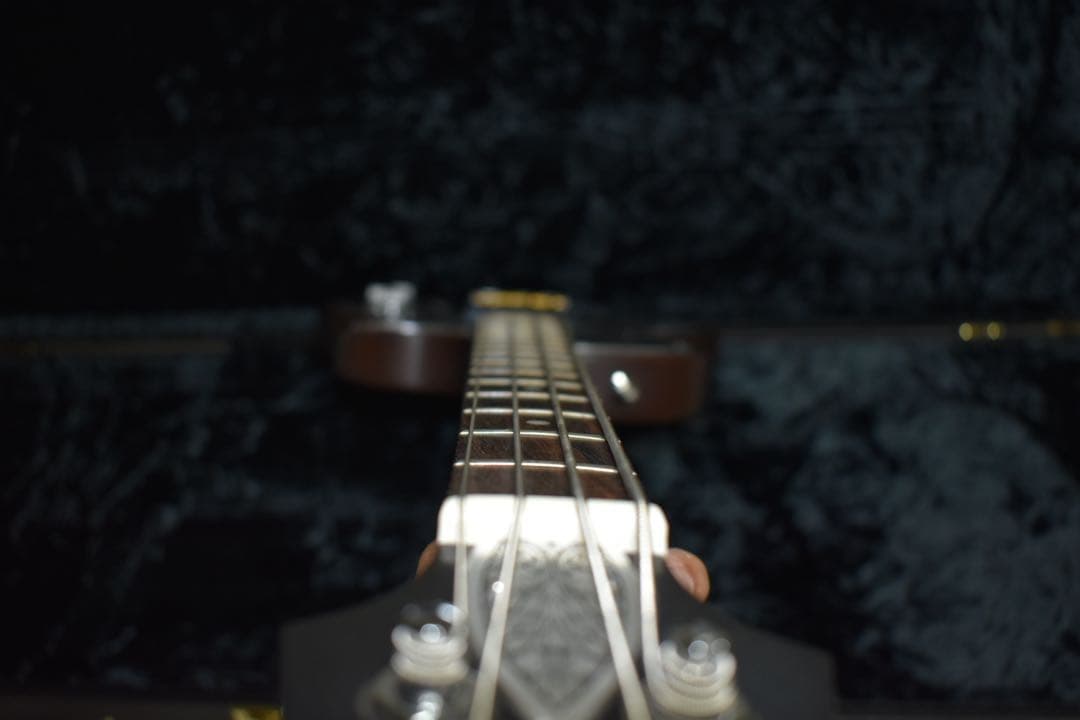 ベース Zemaitis Antanus Bass