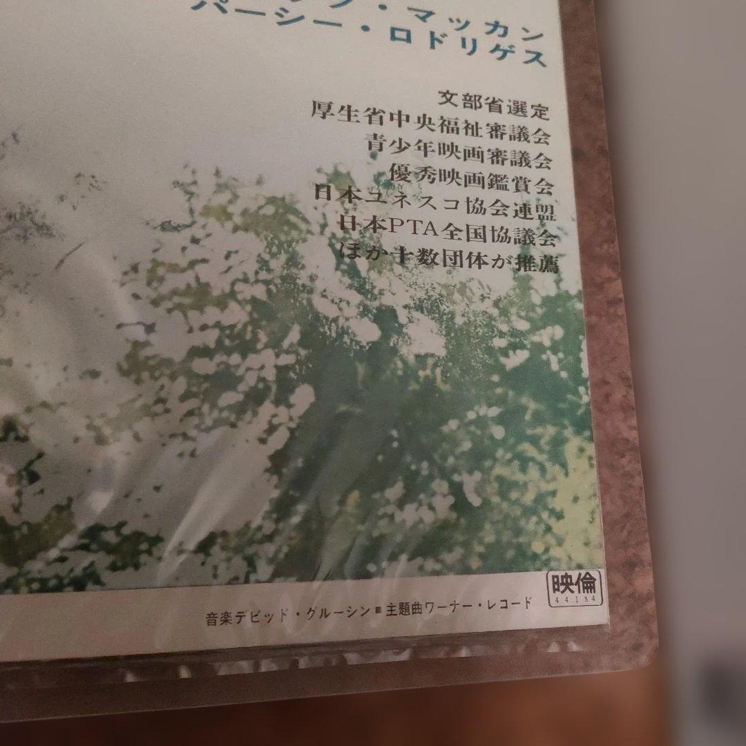 愛すれど心さびしく　日本版B2ポスター