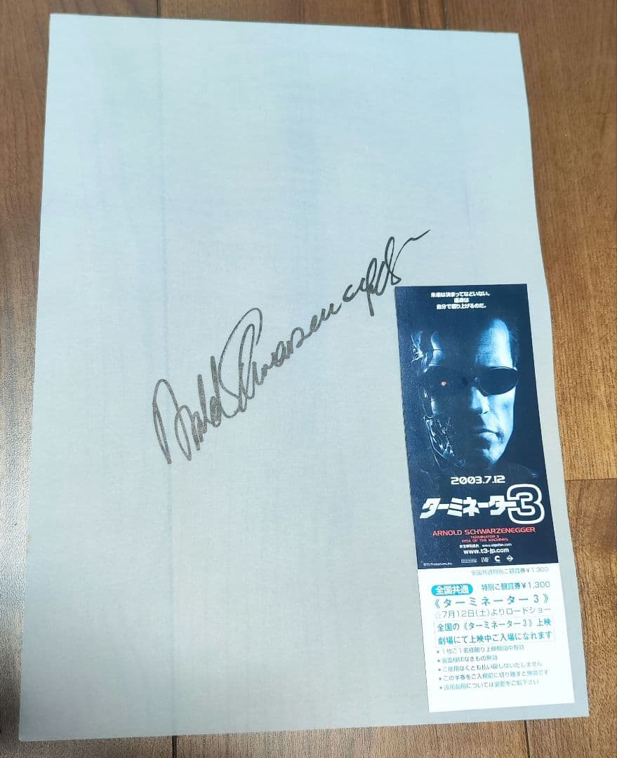 【超希少品】ターミネーター3 限定特典付き前売り券【シリアルナンバー付】