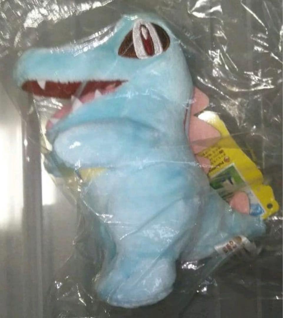 ポケモン　ぬいぐるみ　ワニノコ　キャンバス　202512181157