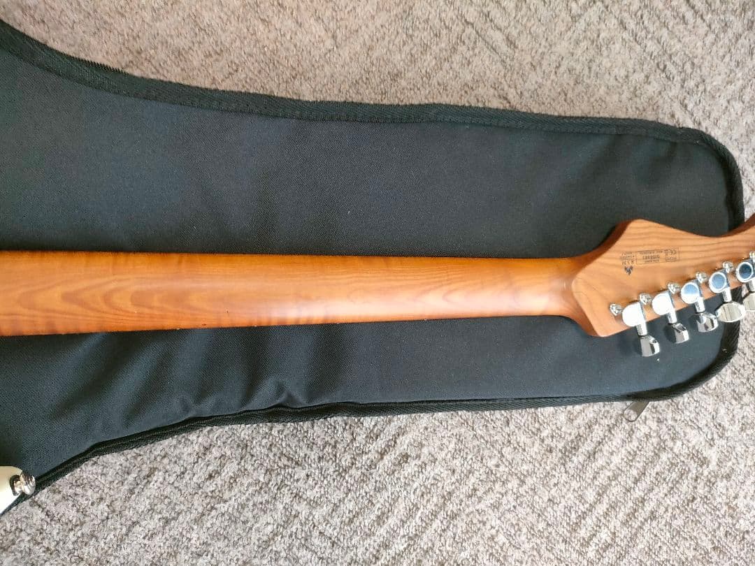 Bacchus SGS-ASH RSM　フレット90%以上 グローバルシリーズ
