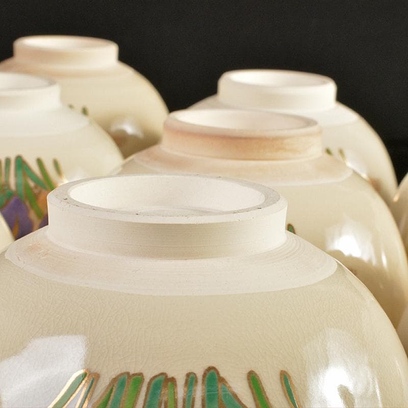 anko　鈴木清安作　色絵金彩　仁清菖蒲文数茶碗十客共箱　V　R7058B