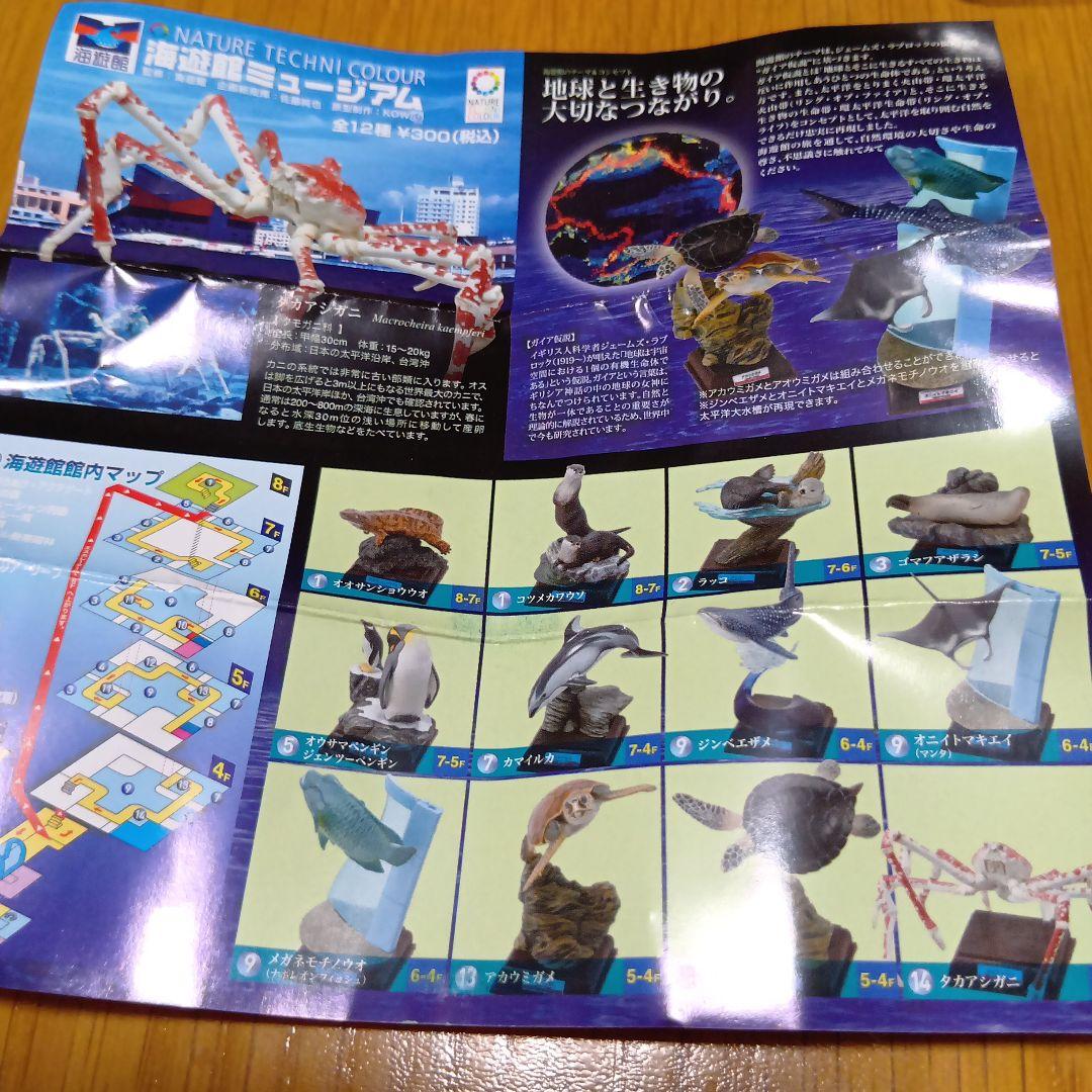 ネイチャーテクニカラー フィギュア 海遊館ミュージアム限定　全12種　新品