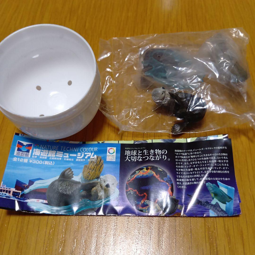 ネイチャーテクニカラー フィギュア 海遊館ミュージアム限定　全12種　新品