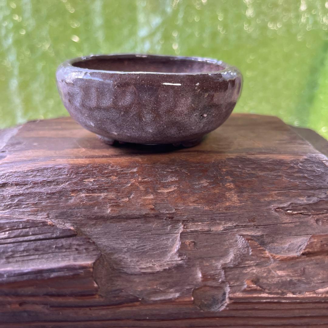 松寿　小品　盆栽鉢　レトロ　5個セット　(A5)