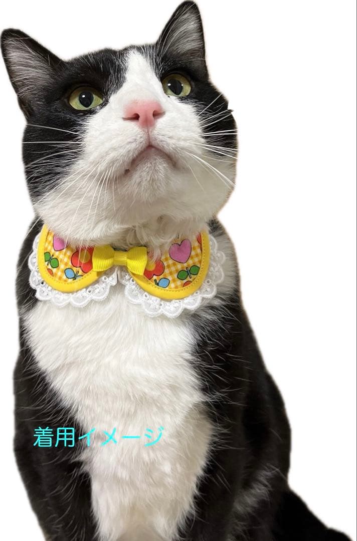 猫 えり付き首輪(花いちご柄 イエロー) 1Ｎｏ．193-680