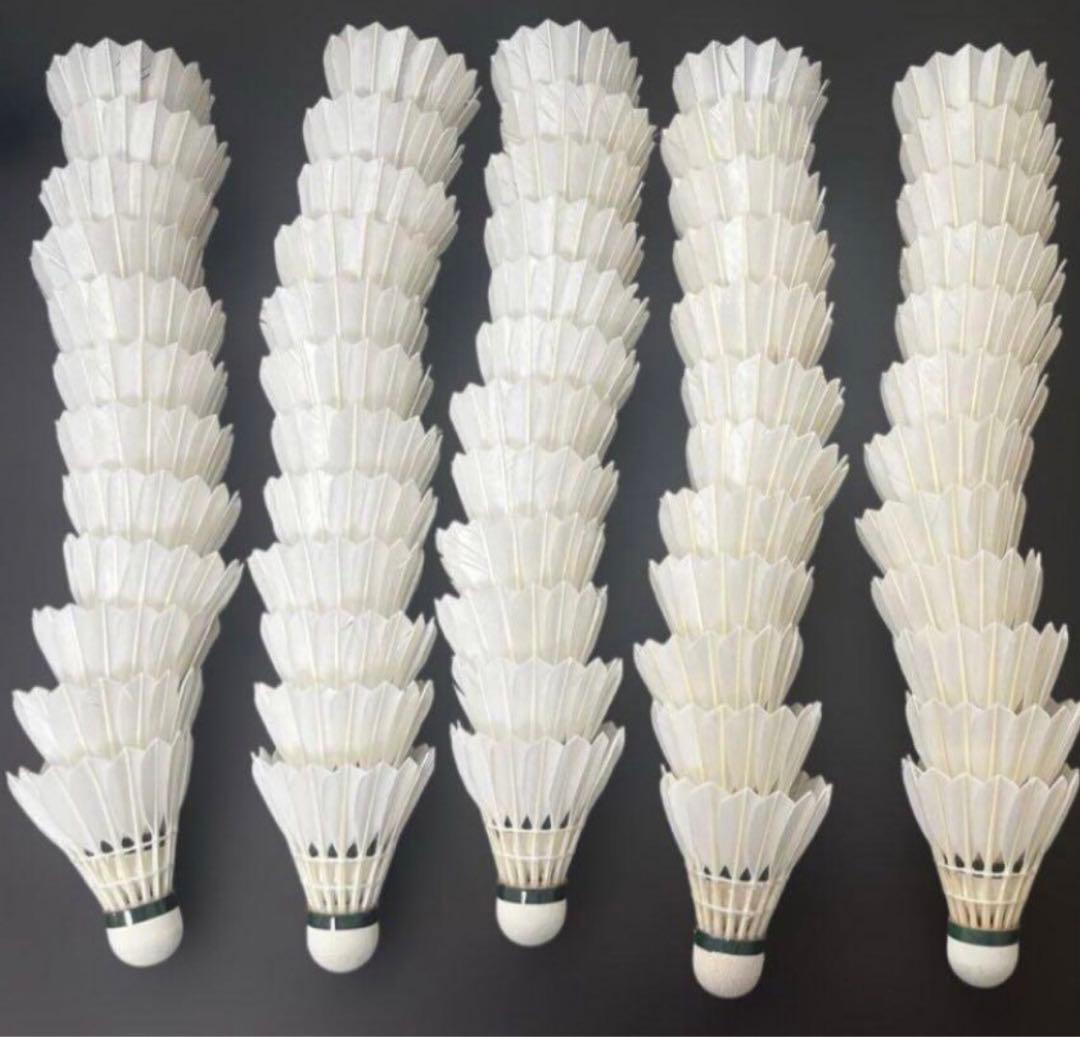 YONEX AEROSENS AS-500 10ダースNo.4