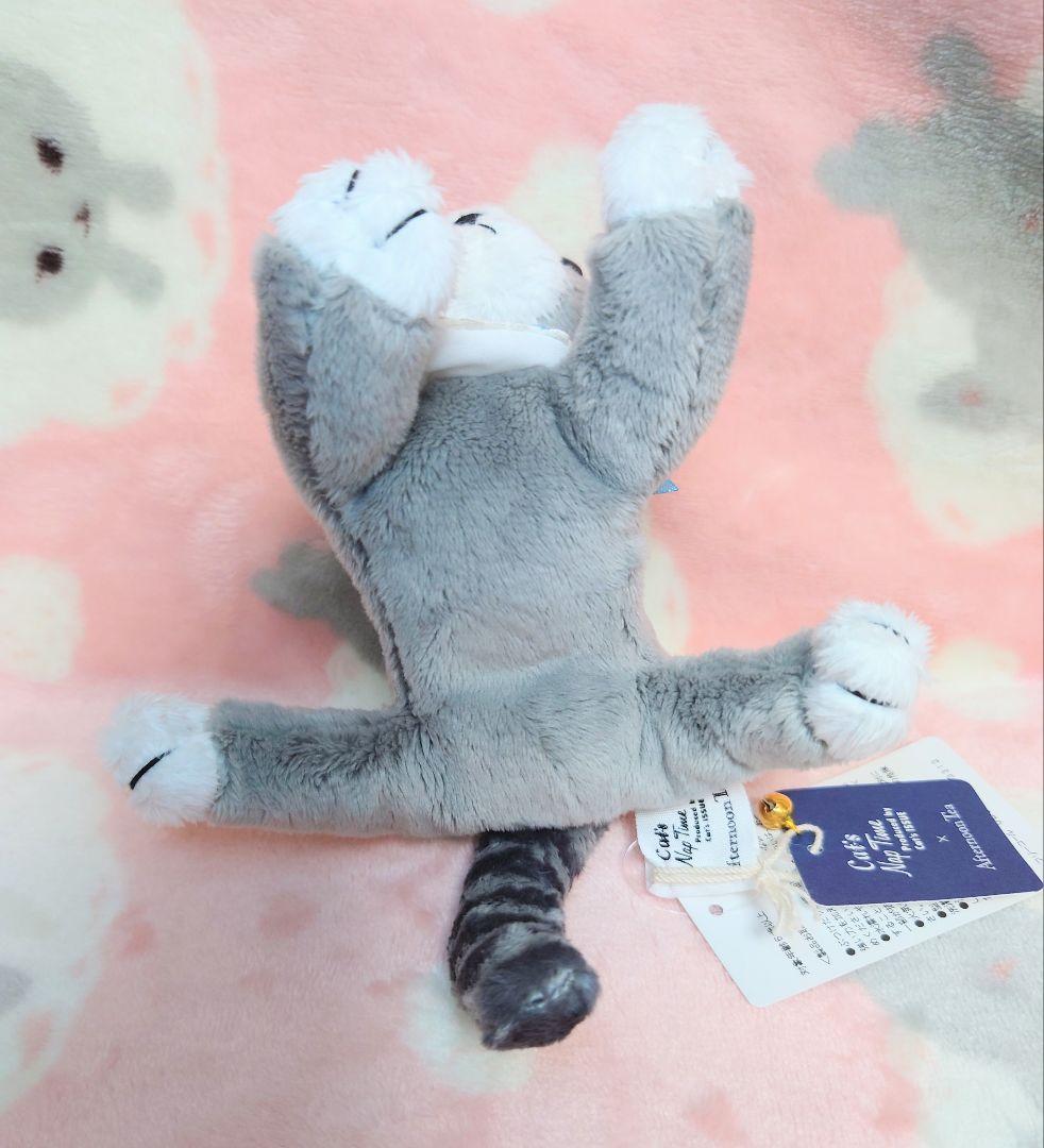 cat's issue 猫　ぬいぐるみ　AfternoonTea