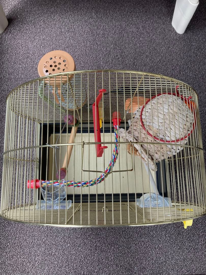 ferplast 鳥籠　小鳥　ケージ　ルナ　ファープラスト
