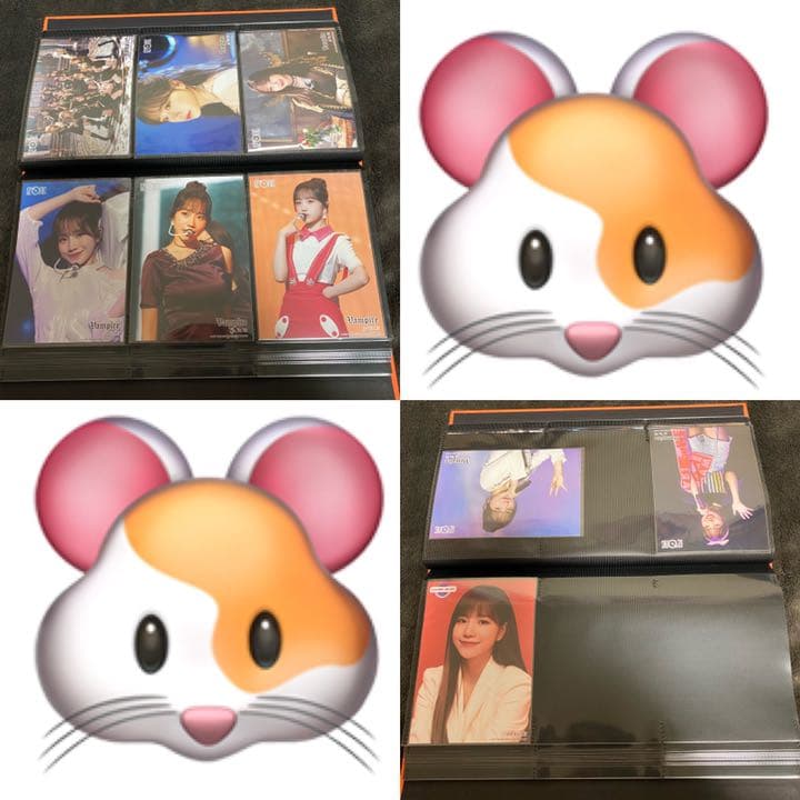 チョ ユリ 生写真 コンプリートセット(vampire迄)