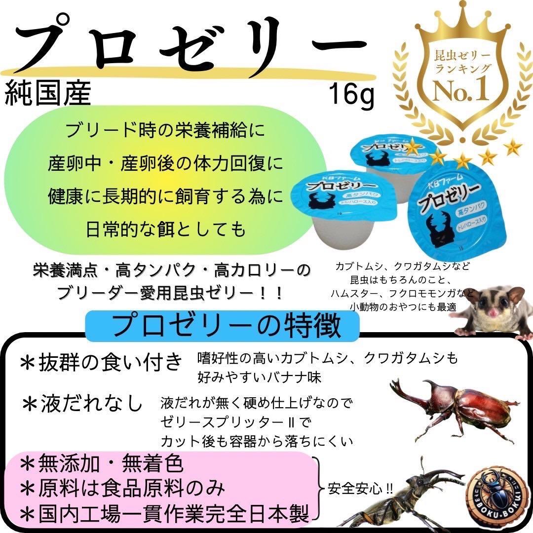 国産プロゼリー3000個KBファーム・カブトムシ　クワガタ 【木ぼく】