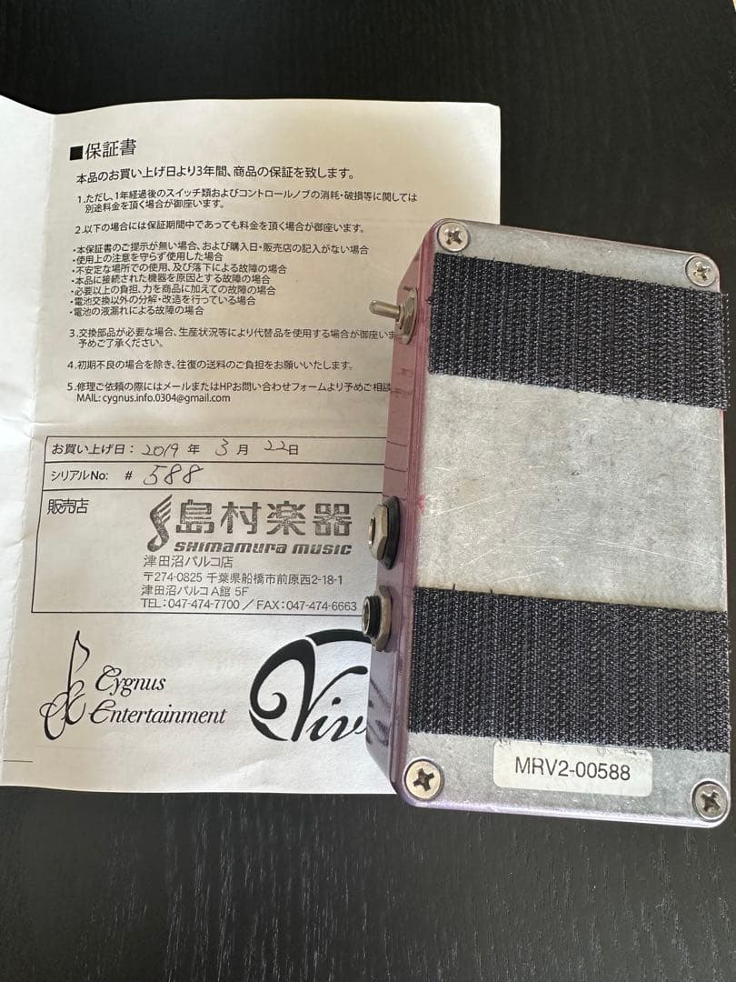 ギター Vivie / Modern Raven V2