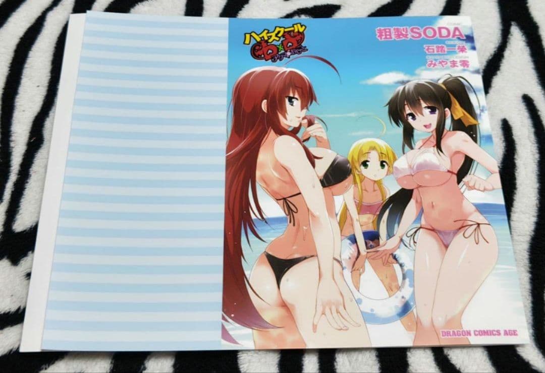 ハイスクールD×D アクマのおしごと ブックカバー NOT FOR SALE
