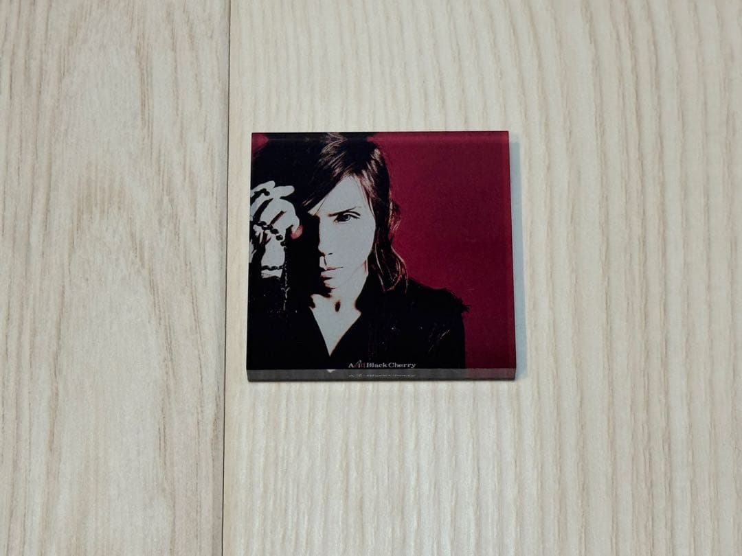 AcidBlackCherry アクリルマグネット