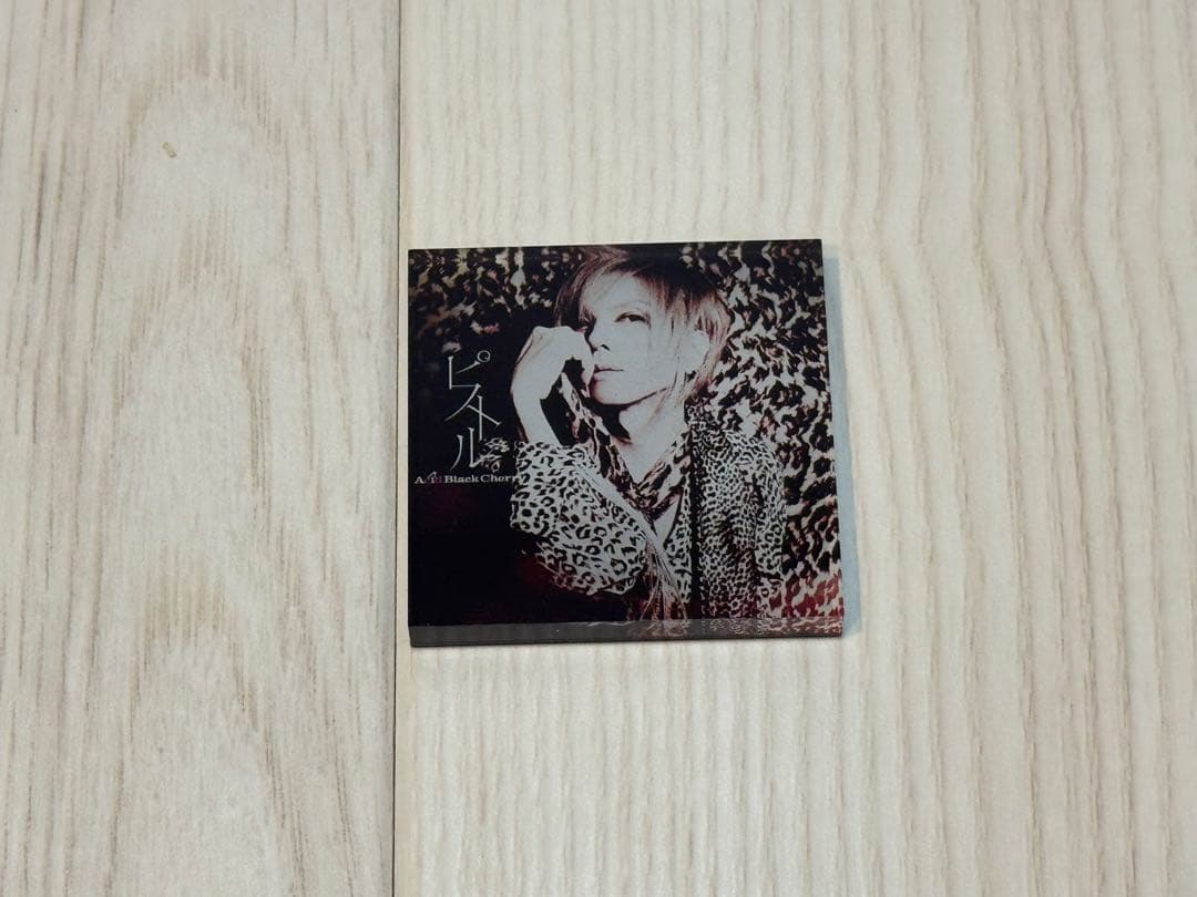 AcidBlackCherry アクリルマグネット