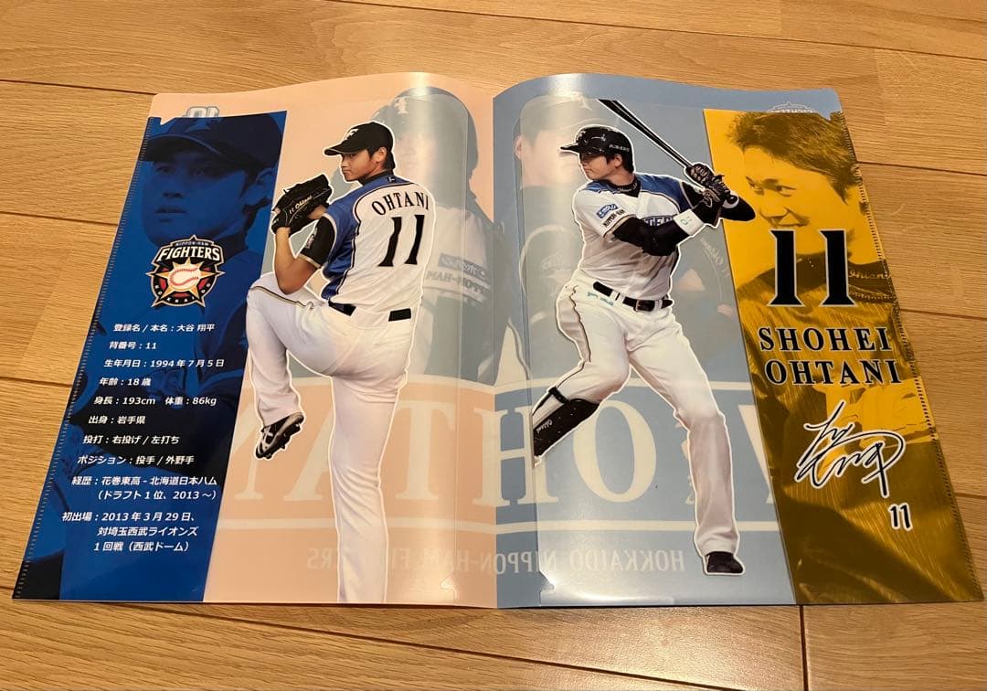 大谷翔平 観戦証明書とファイルセット