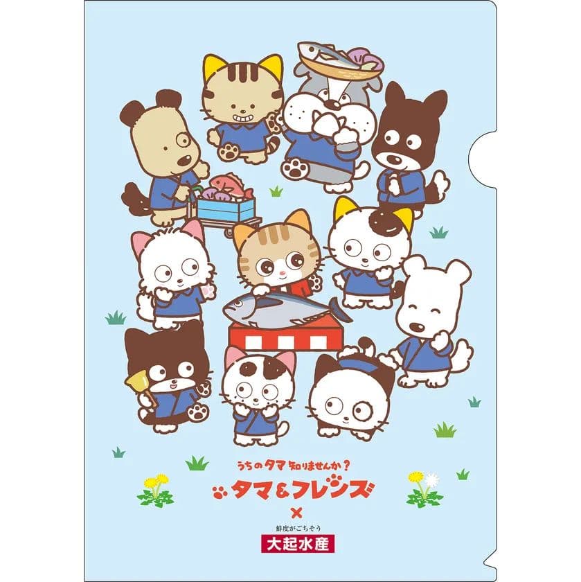 タマとサンリオキャラクター コラボ商品