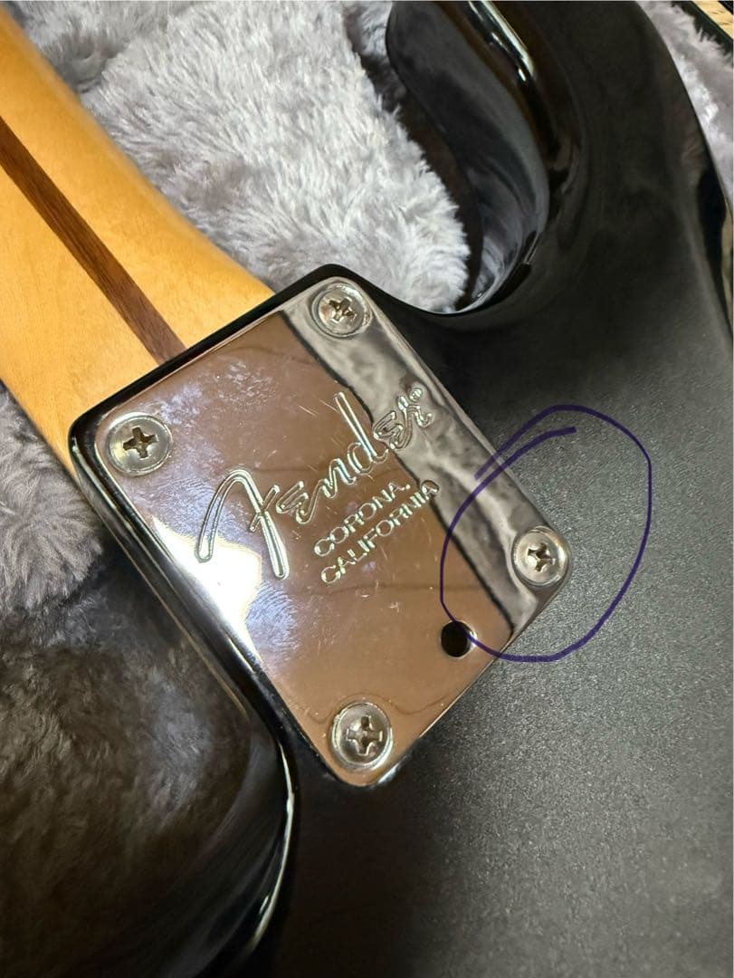 ギター Fender American Professional LTD