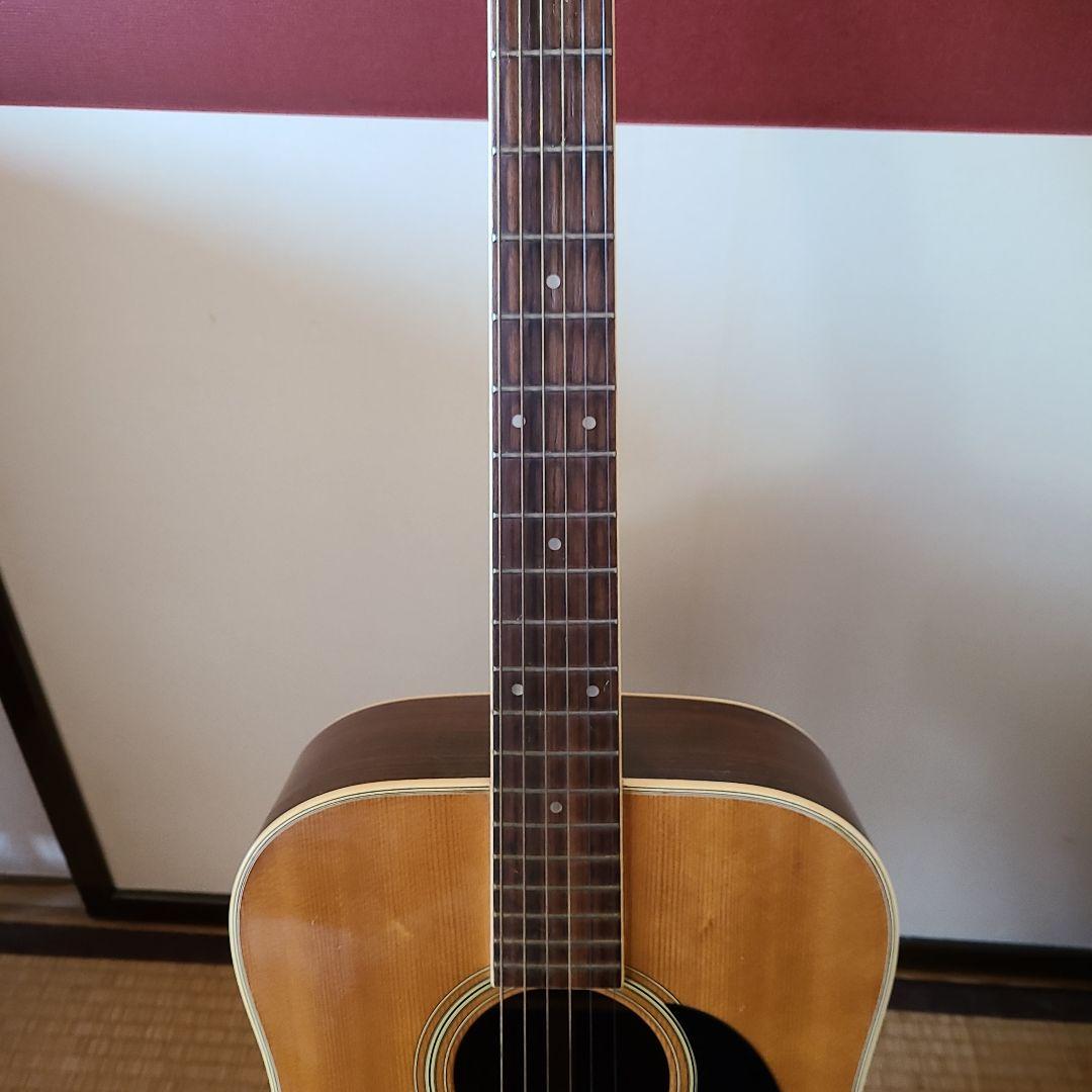 Morris アコースティックギター ドレッドノート