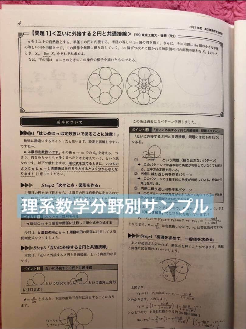 鉄緑会　小橋先生　高3数学　入試数学系統講義　理系数学分野別　計10冊