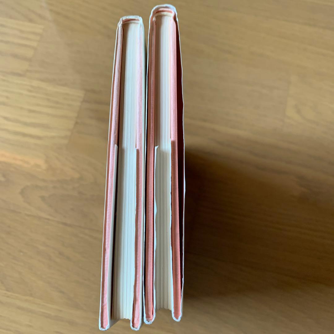 【希少・美品】VIVA! MICKEY BOOKS　2冊セット（手芸・ニット）