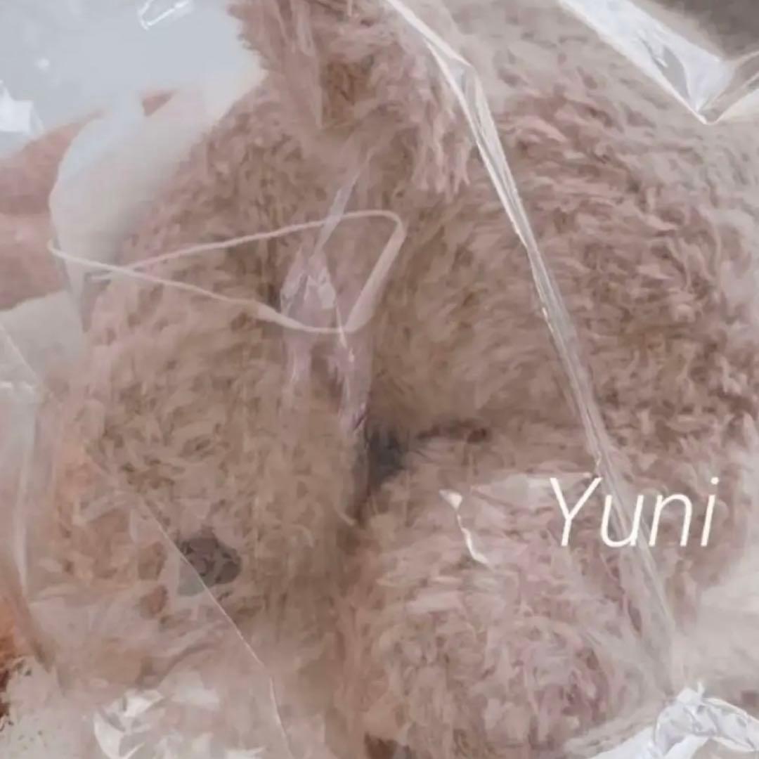 正規品♡トイプードルぬいぐるみ♡グレー