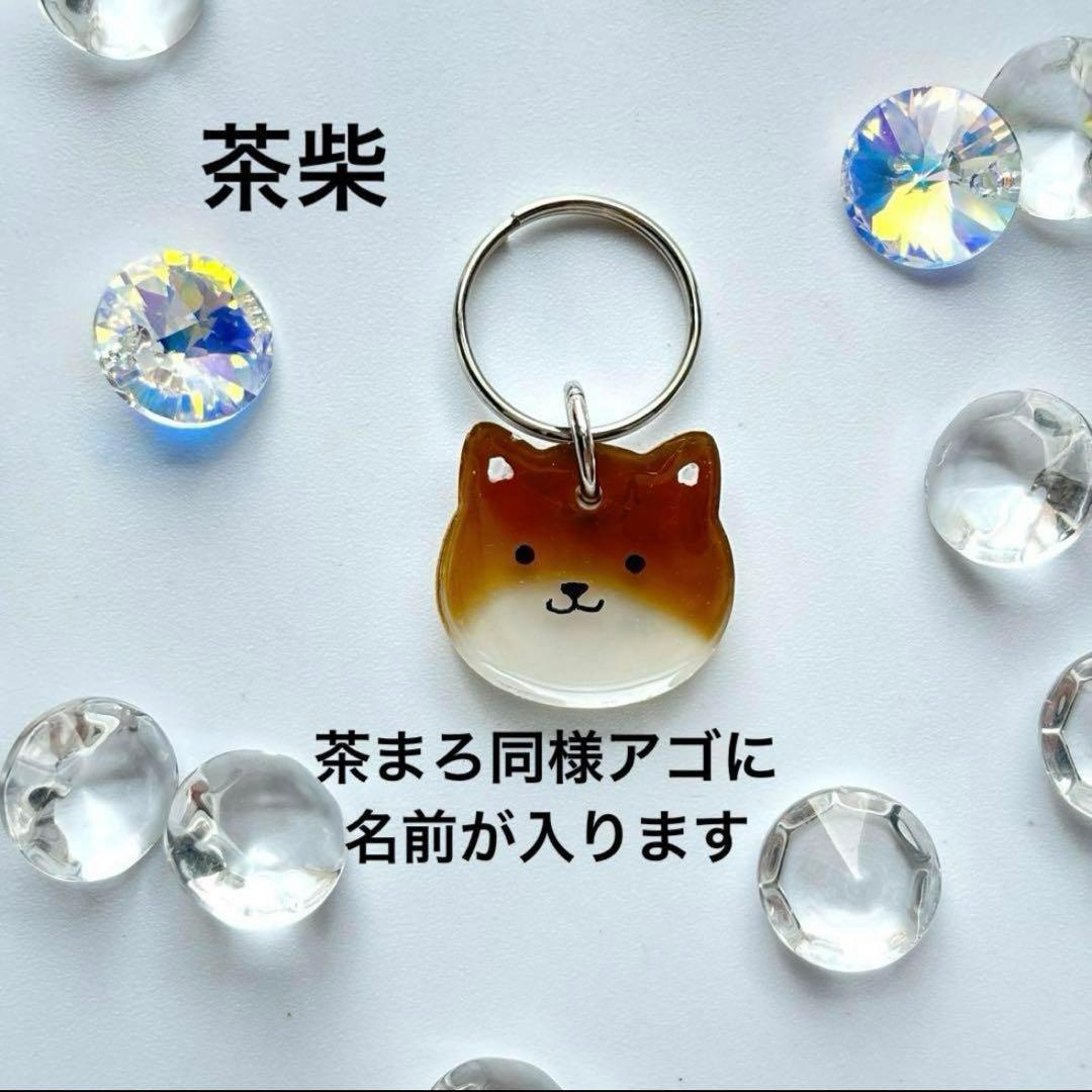 オーダー注文《 数量限定》柴犬種類選択 》迷子札　犬　名札